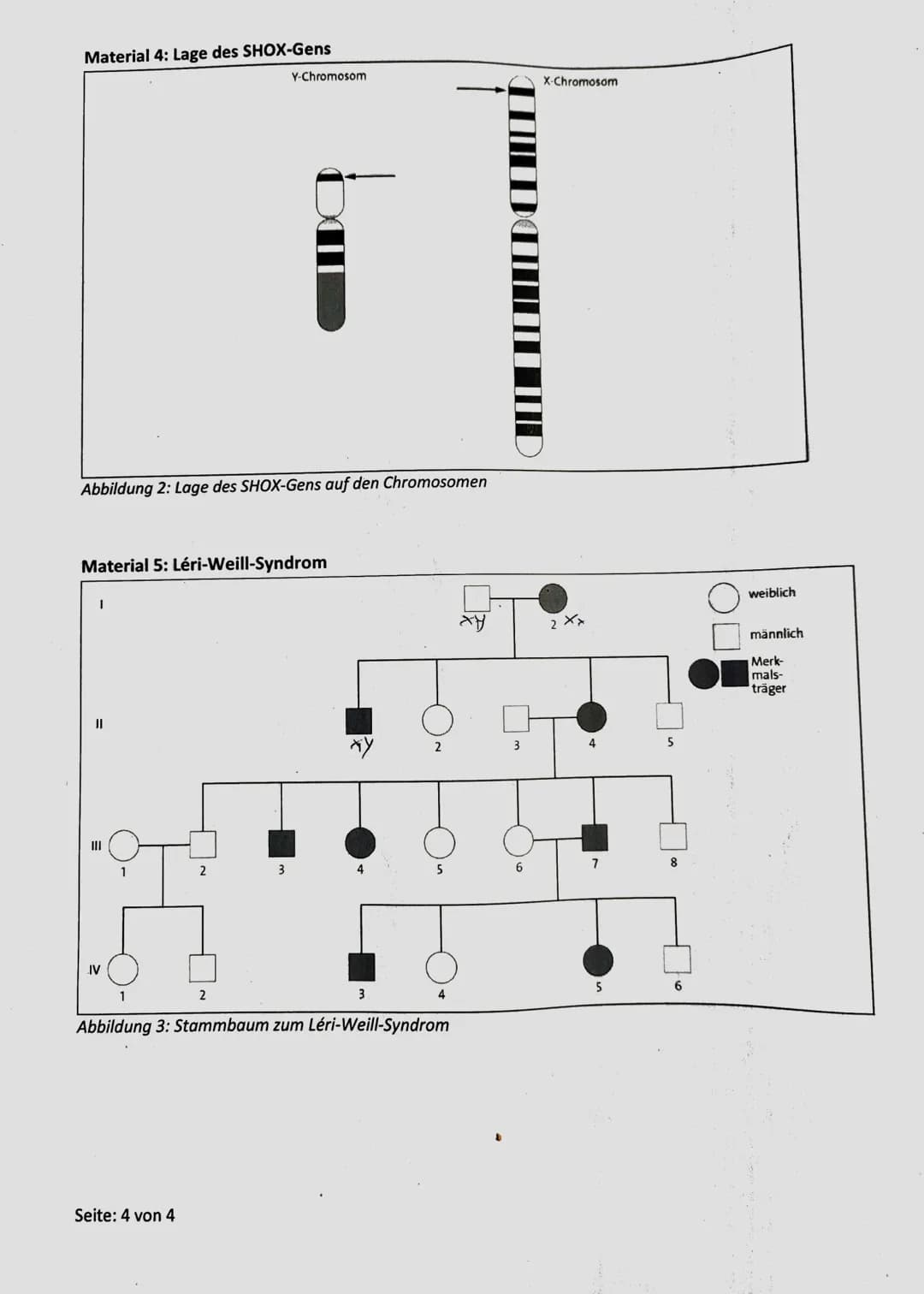 # 1. Klausur des Q1-Biologie-Grundkurse 1-3
12.09.2022
Aufgabe 1: Stammbaumanalyse am Beispiel des TAY-SACHS-Syndroms
Name: Nils Rosenberger