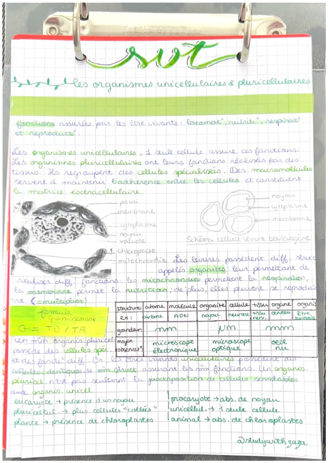 # svt
Les organismes unicellulaires & pluricellulaires
fanctions assurées par les ètre ivants: locomot", nutriti, respinat
et reproduct.