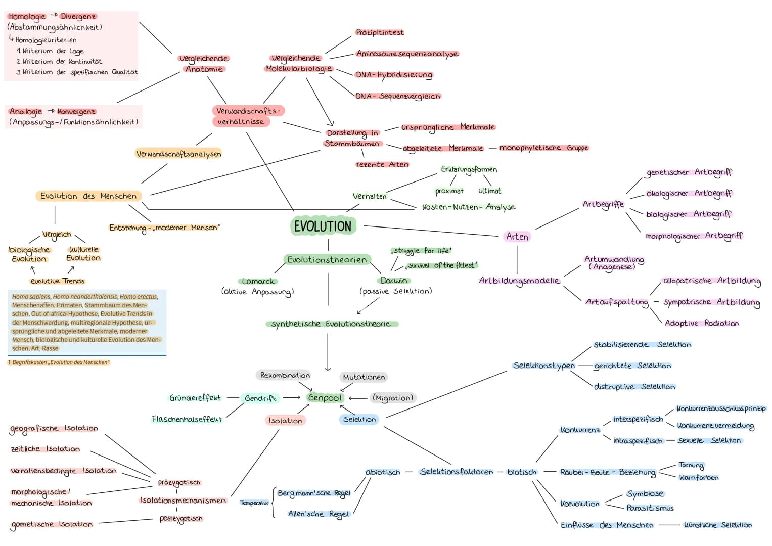 # Homologie Divergenz
(Abstammungsähnlichkeit)
4 Homologiekriterien
1. Kriterium der Loge
2. Kriterium der Kontinuität
3. Kriterium der