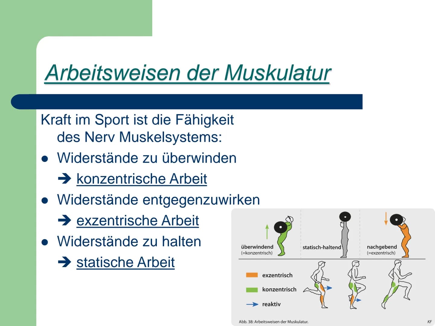 Kraft
ist die Fähigkeit des Nerv-
Muskelsystems, durch
Muskeltätigkeit Widerstände
- zu überwinden,
- ihnen entgegen zu wirken
- bzw. sie zu