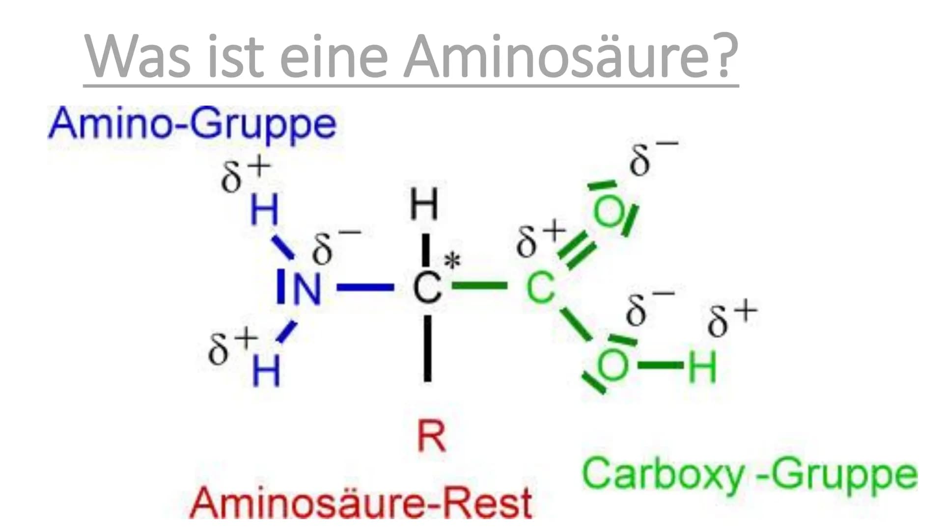 # Die Proteine
Ein Referat von Jana, Sophie, Luca und Leonard Was euch heute erwartet
Was sind Proteine?
Was ist eine
Aminosäure?
Aufgab