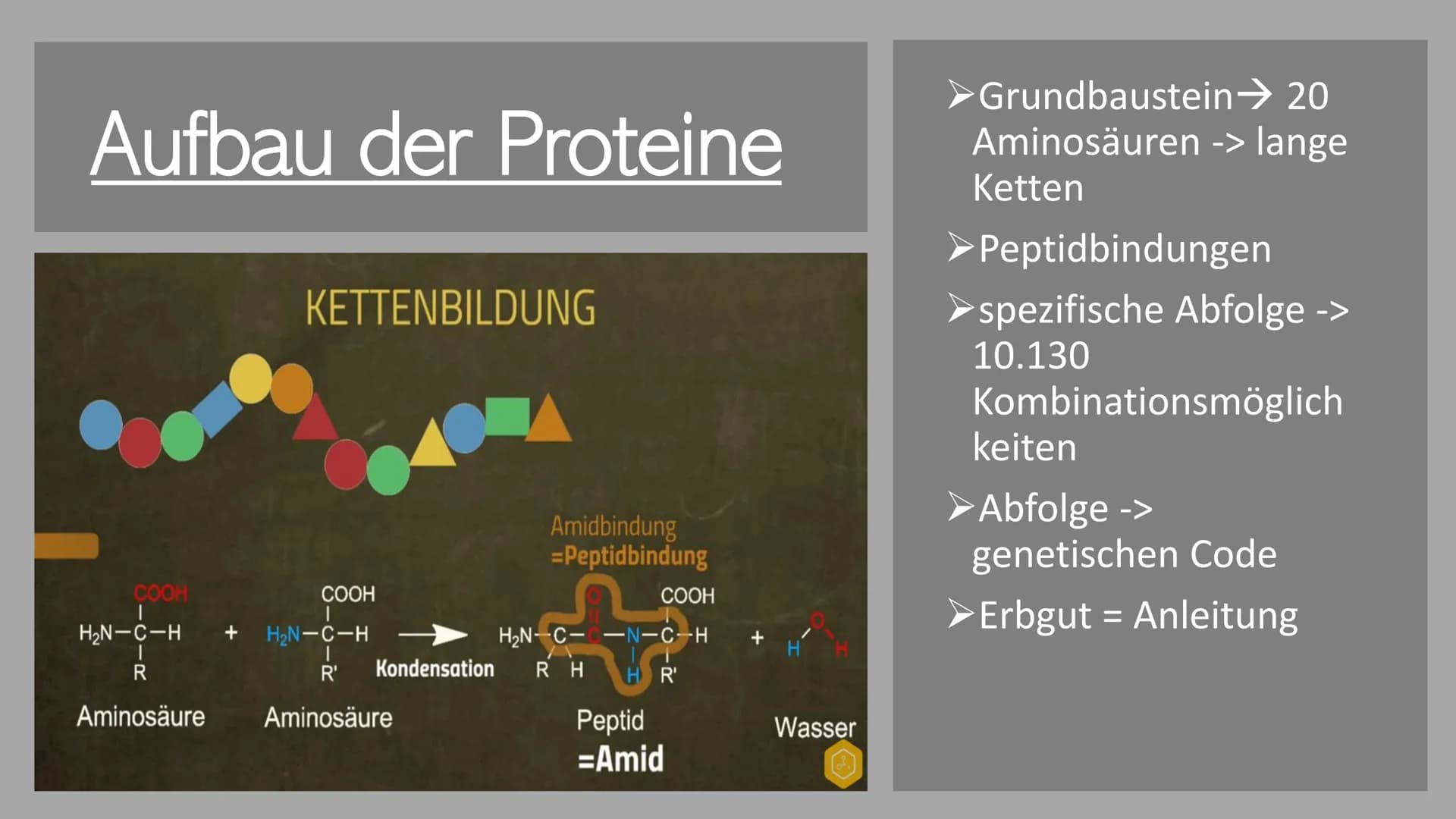 # Die Proteine
Ein Referat von Jana, Sophie, Luca und Leonard Was euch heute erwartet
Was sind Proteine?
Was ist eine
Aminosäure?
Aufgab