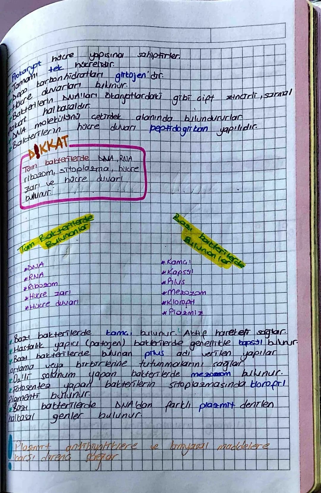 RNA
Plazmit
Bakteriler Alemi
Sitoplazmave
enzim sistemleri
Ribosom
Bakteri DNAS
(Bakteri genomu)
Nikleotit adlı bölgede bulunur.
Halka