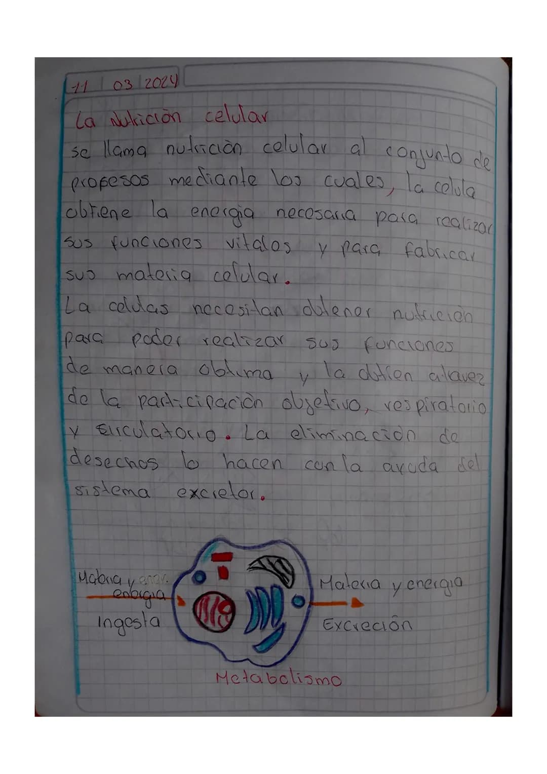 11 03 2024
# La Nutrición celular
se llama nutrición celular al conjunto del
propesos mediante los cuales, la celula
obtiene la energia nec