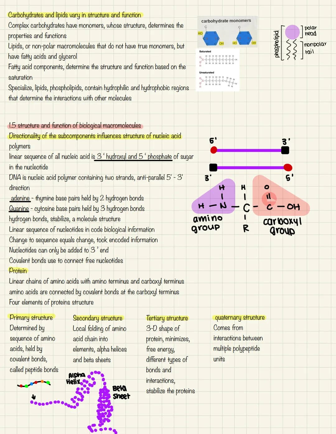 # Ap daily note taking
## 1.3 dehydration synthesis & properties of monomers.
### Properties of monomers:
* monomers are chemical subun