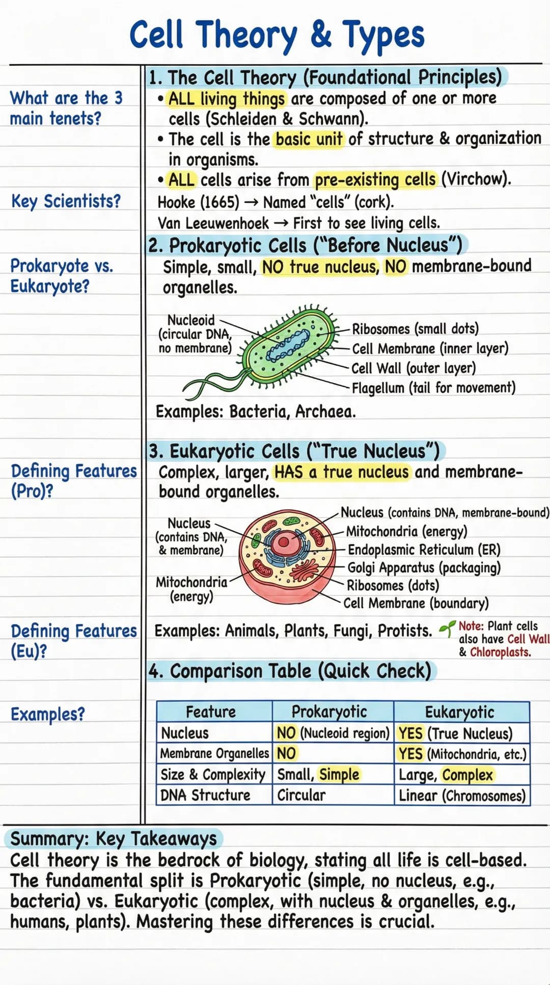 # Cell Theory & Types
What are the 3
main tenets?
1. The Cell Theory (Foundational Principles)
* ALL living things are composed of one o