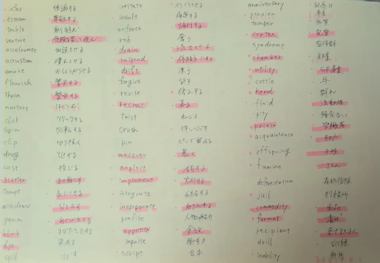 infer
推論する
- esteem
尊敬する
tackle
剛組尺
irritate
insult
enforce
- イライラさせる
侮辱する
施行する
Venture
- 危険を冒して進む
rob
奪う
- Cortex
accelerate
加速させる
drain
流出