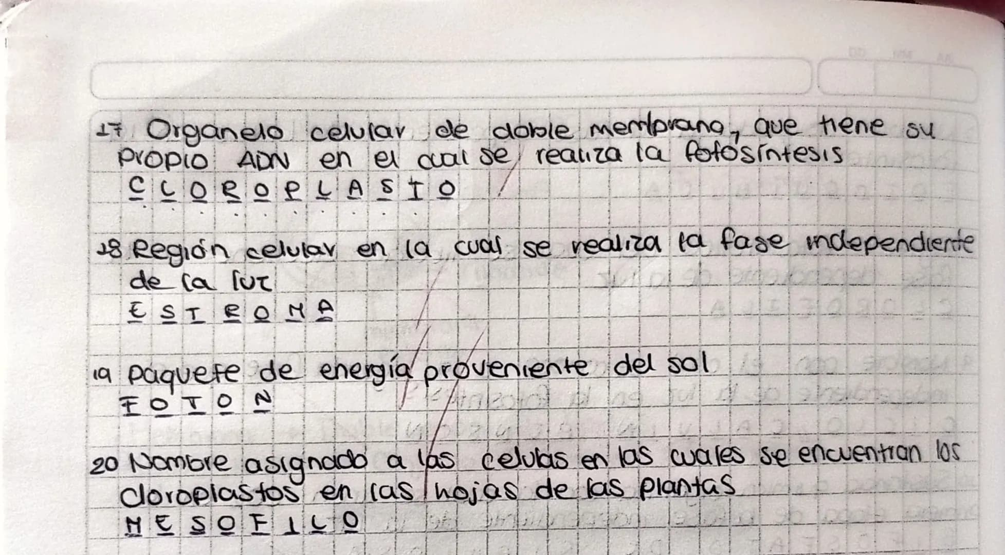 Taller de afianzamiento:
Metabolismo y FotosintesisS
1 Proceso en el cual se sintetizan sustancias orgánicas a
partir de sustancias inorgan