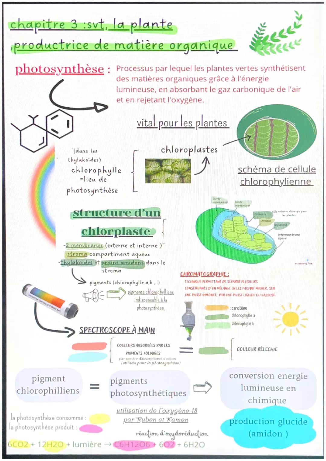 # chapitre 1:svt
l'organisation fonctionnelle des
plantes à fleurs
micorhize bénéfice réciproque
=symbiose
produita de la
photosynthos
