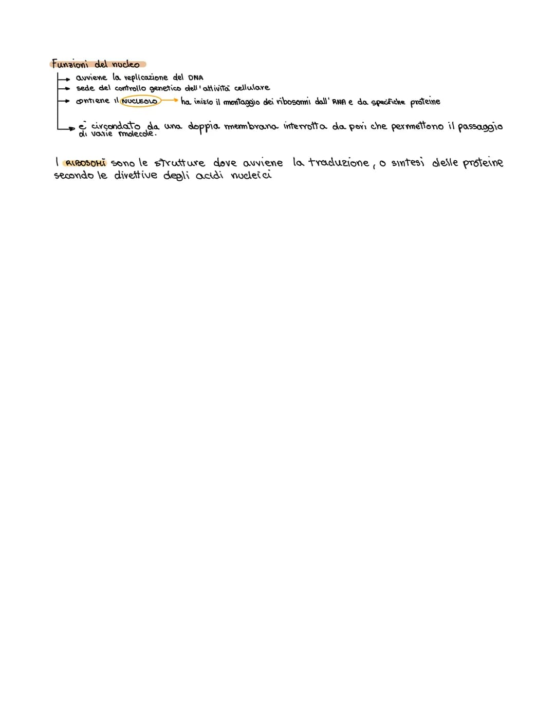 # Le caratteristiche comuni a tutte le cellule
Le dimensioni delle cellule mantengono un adeguato rapporto $\frac{Superficie}{vollume}$
Str