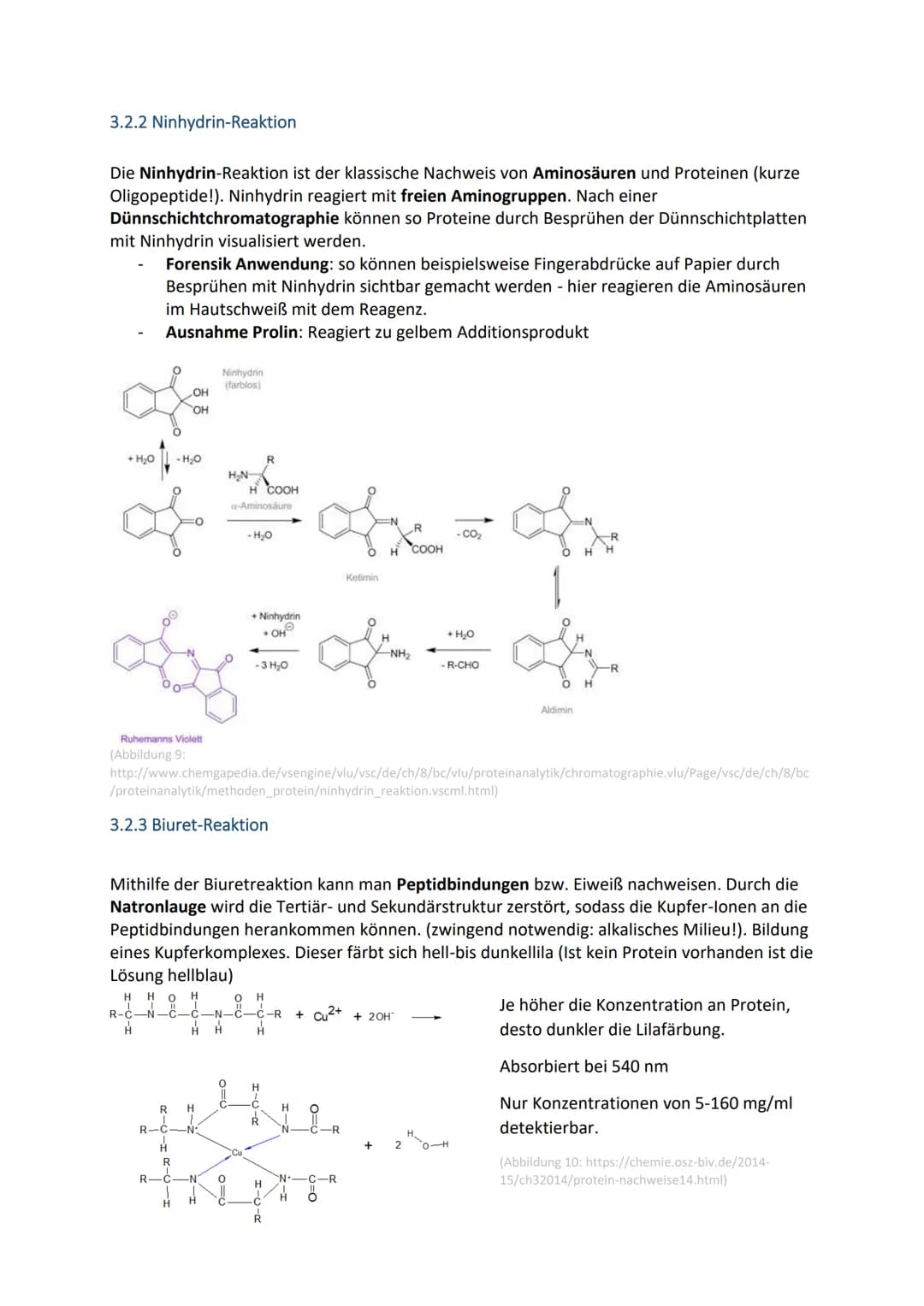 # 1 Grundlagen
1.1. Skelettformeln von Aminosäuren
Beim Zeichnen einer Aminosäure sollten die charakteristischen Bestandteile abgebildet
w