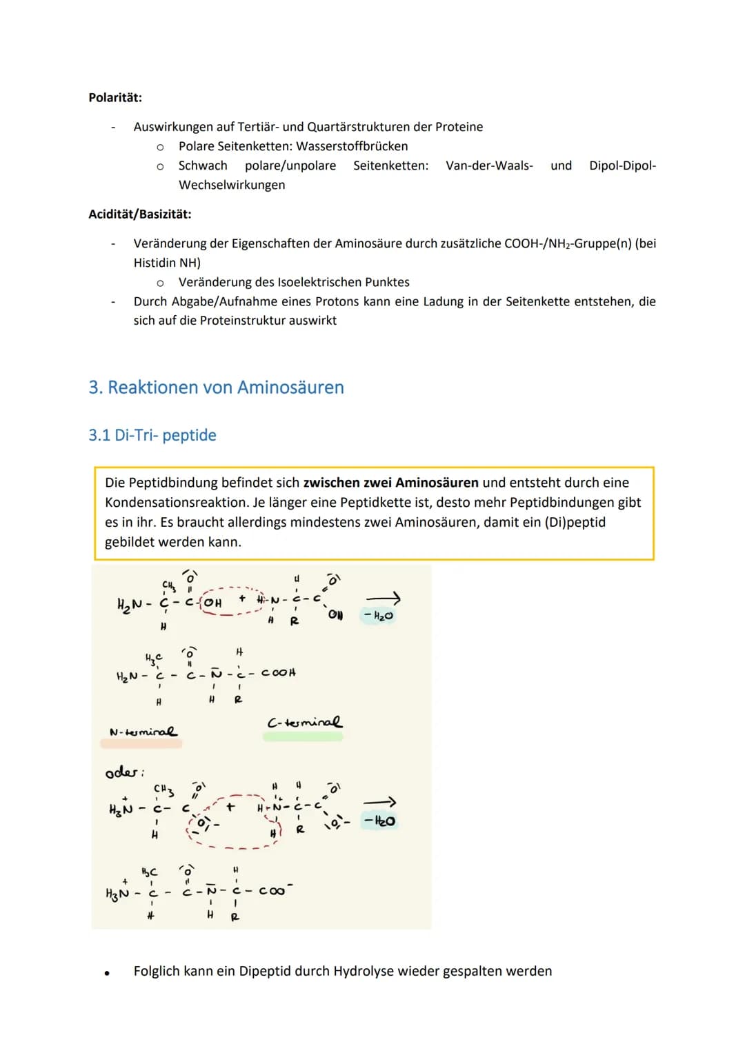 # 1 Grundlagen
1.1. Skelettformeln von Aminosäuren
Beim Zeichnen einer Aminosäure sollten die charakteristischen Bestandteile abgebildet
w