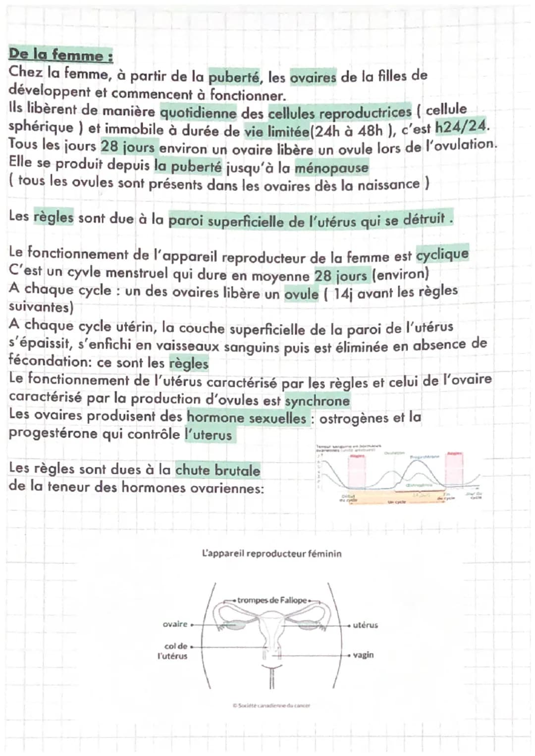 # SVT
LE FONCTIONNEMENT DE L'APPAREIL REPRODUCTEUR
De l'homme :
Chez l'homme, à partir de la puberté et tout au long de sa vie, les testi
