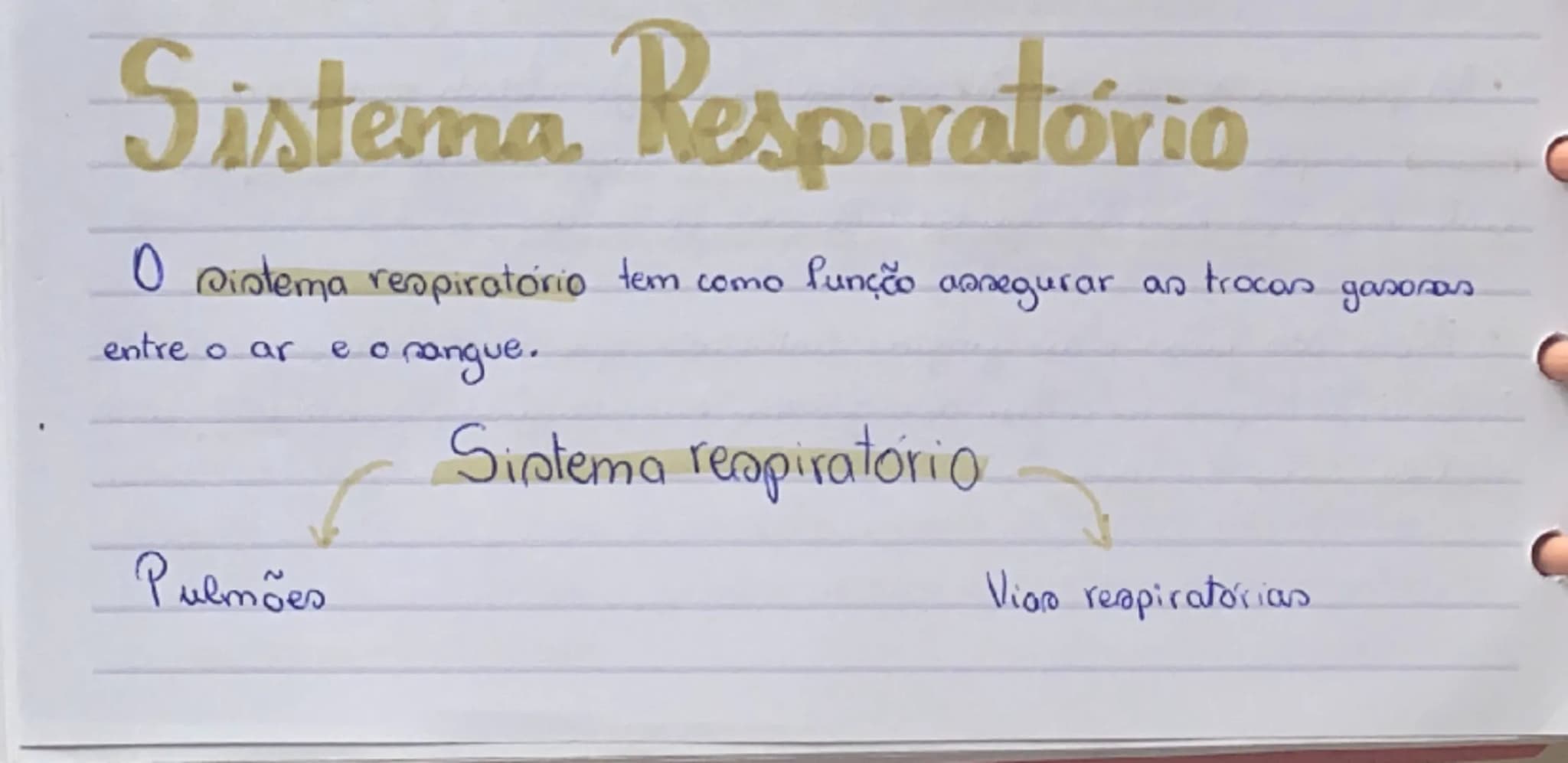 # Sistema Respiratório
O sistema respiratório tem como função assegurar as trocas gasosas
entre o ar e o sangue.
Sistema respiratório
Pul