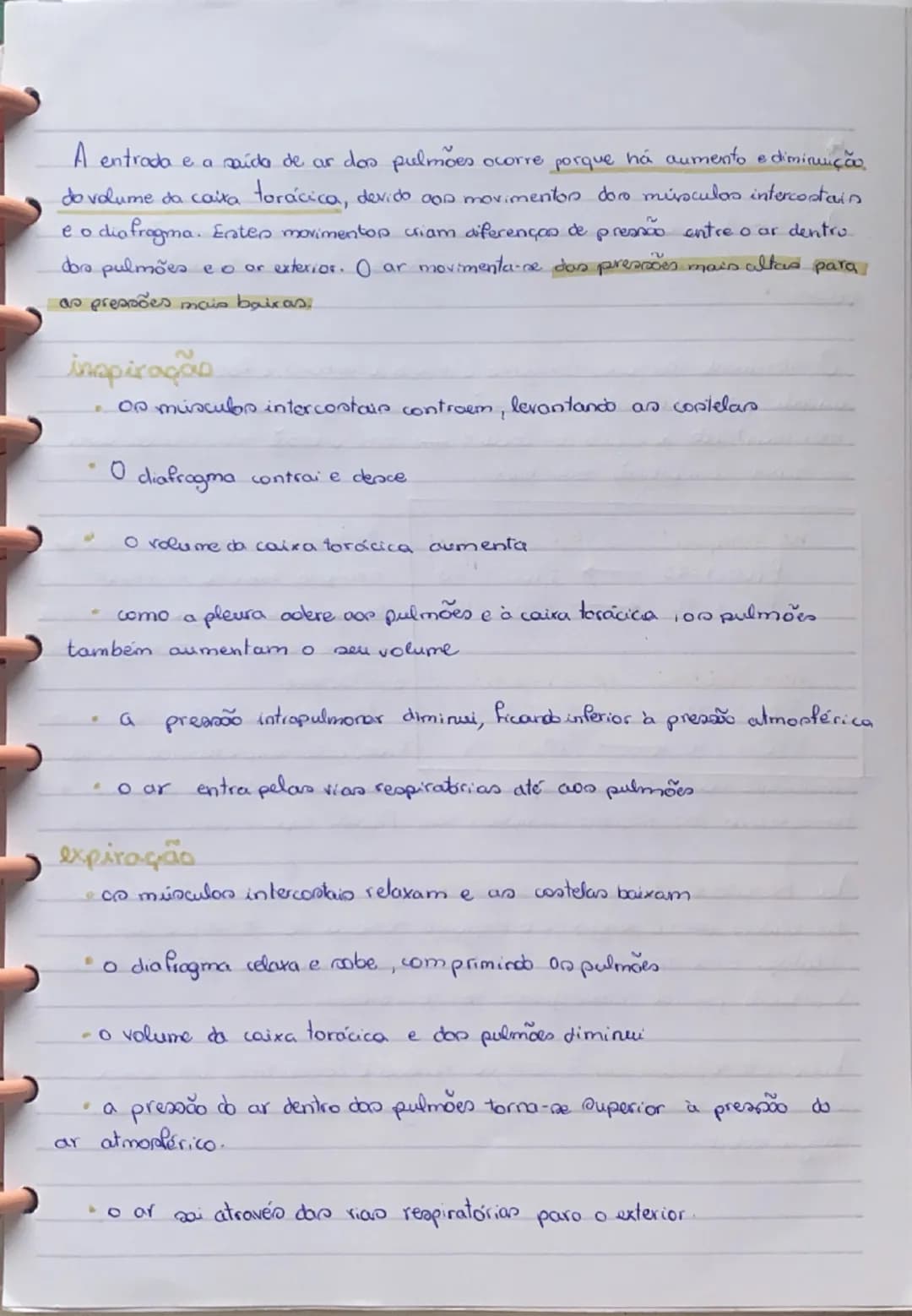 # Sistema Respiratório
O sistema respiratório tem como função assegurar as trocas gasosas
entre o ar e o sangue.
Sistema respiratório
Pul