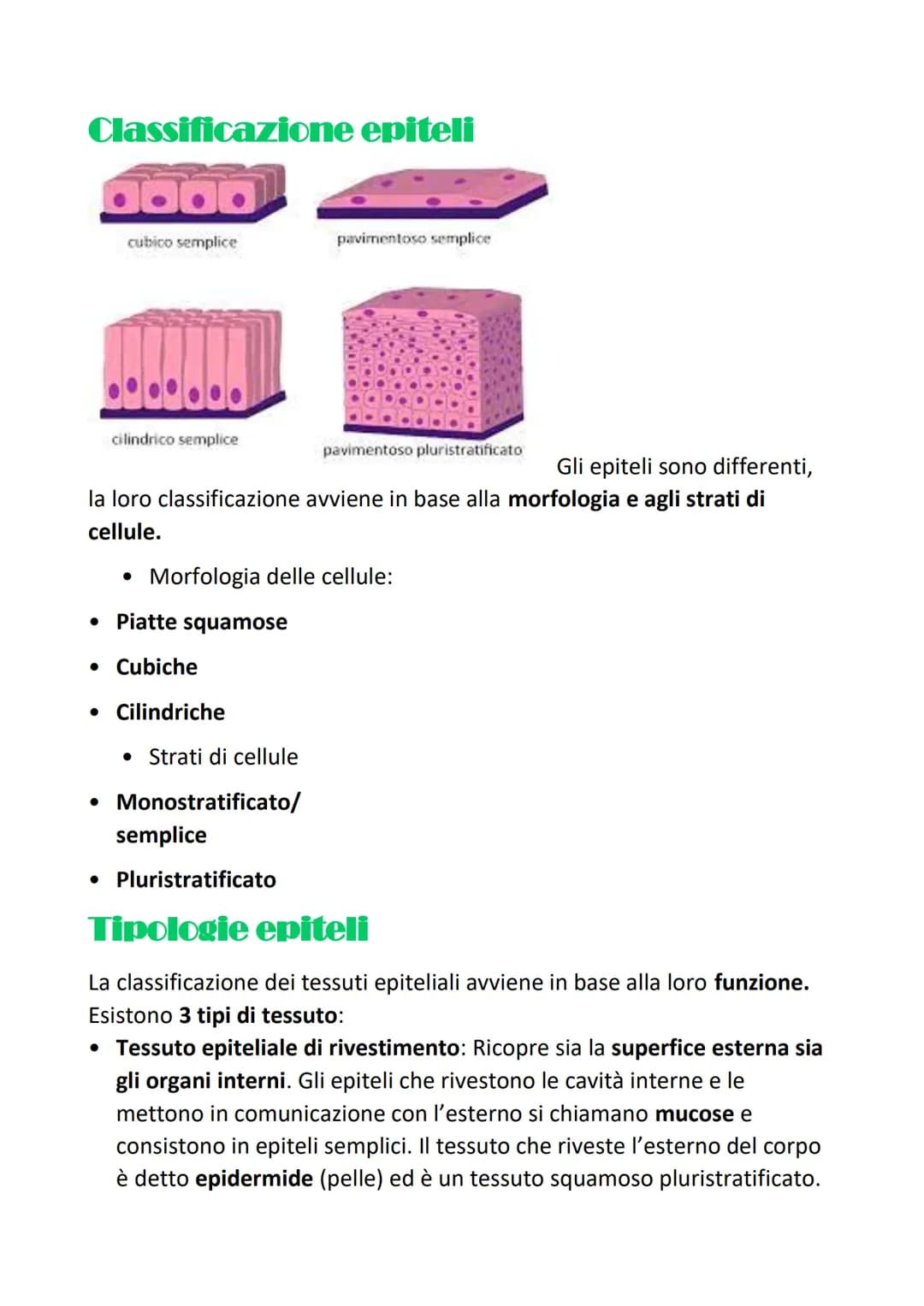 # L'organizzazione gerarchica
## strutturale
### del corpo umano
Si definisce organizzazione gerarchica perchè:
Organizzazione= ogni tessut