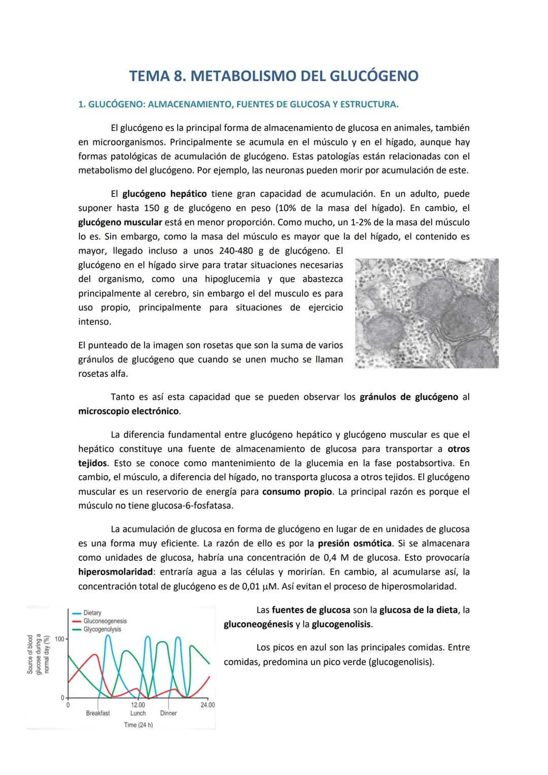 # TEMA 8. METABOLISMO DEL GLUCÓGENO
1. GLUCÓGENO: ALMACENAMIENTO, FUENTES DE GLUCOSA Y ESTRUCTURA.
El glucógeno es la principal forma de a