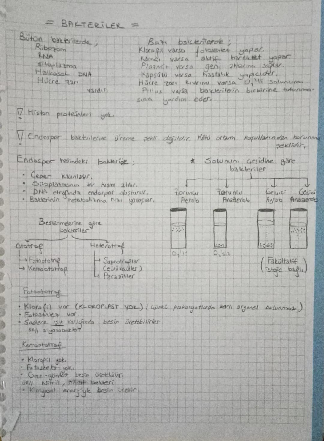 # BAKTERİLER =
Bütün bakterilerde ;
Ribozom
RNA
sitoplazma
Halkasal DINA
Hücre za
vardır
- Histon proteinleri yok.
Batı bakterilerde;
Klo