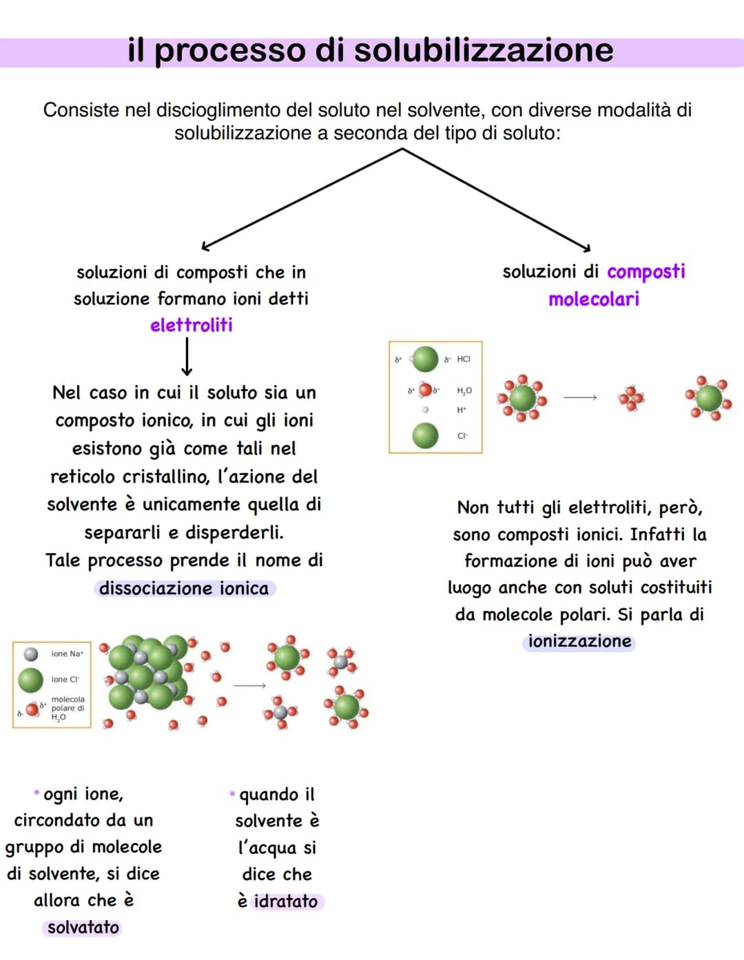 # LE SOLUZIONI
Una soluzione è una miscela omogenea di due o più specie chimiche che non
sono più distinguibili visivamente e che mantengon