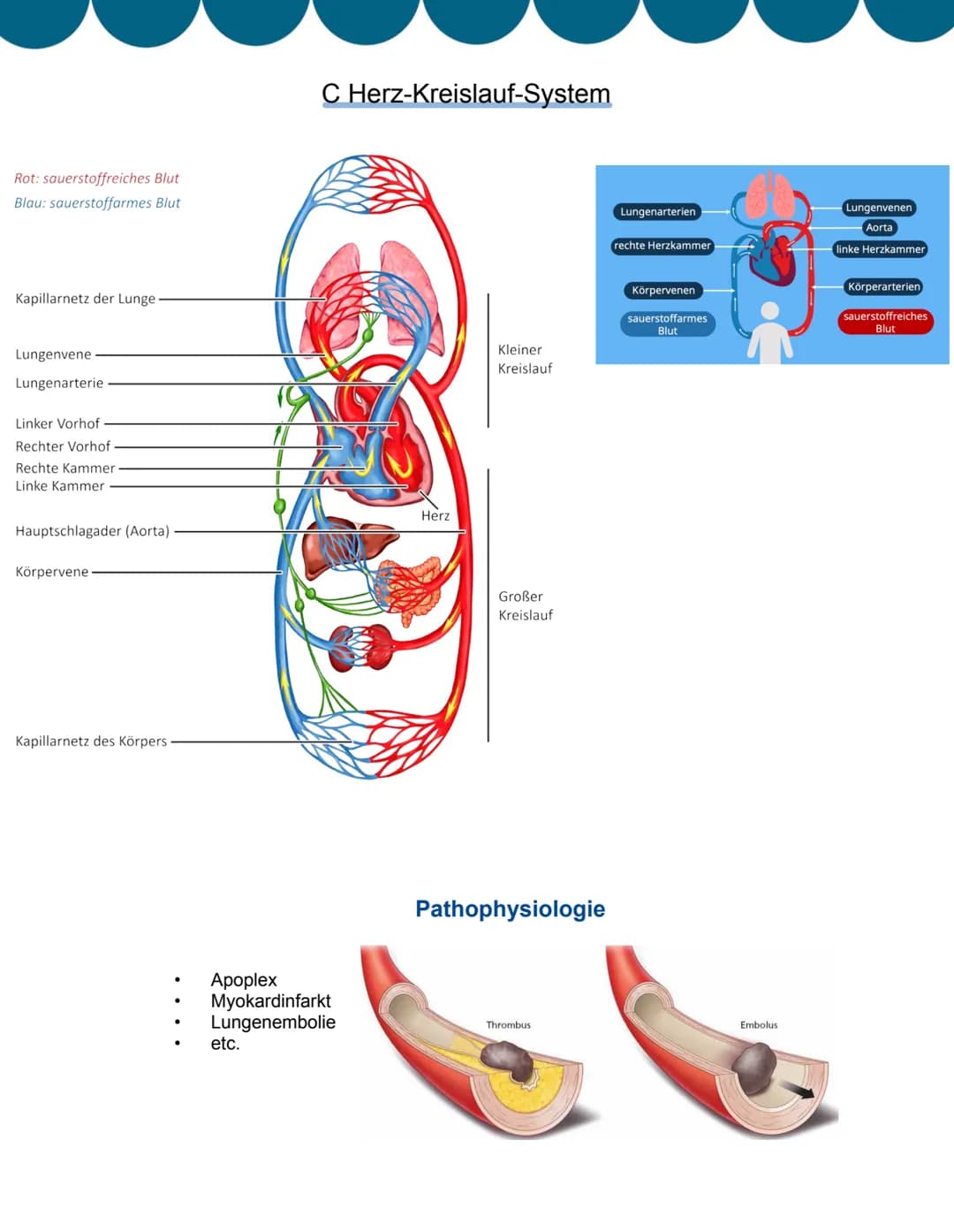 # Allgemeines
Fortbildungsanforderung
30 Fortbildungsstunden pro Jahr erforderlich.
PsychKG (Psychisch-Kranken-Gesetze)
Umgang mit psych