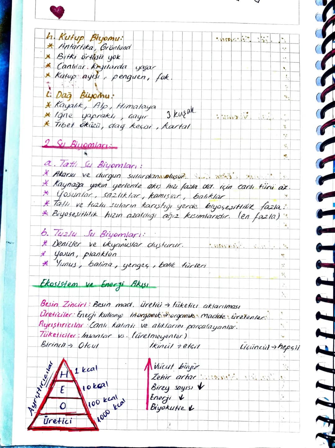# cografya
Biyocesitelik
$
\rightarrow$
En fazla olduğu yerler
* Tropikal Yağmur Ormanları çevresi
* Ekvator Gevresi
* Delta ovala