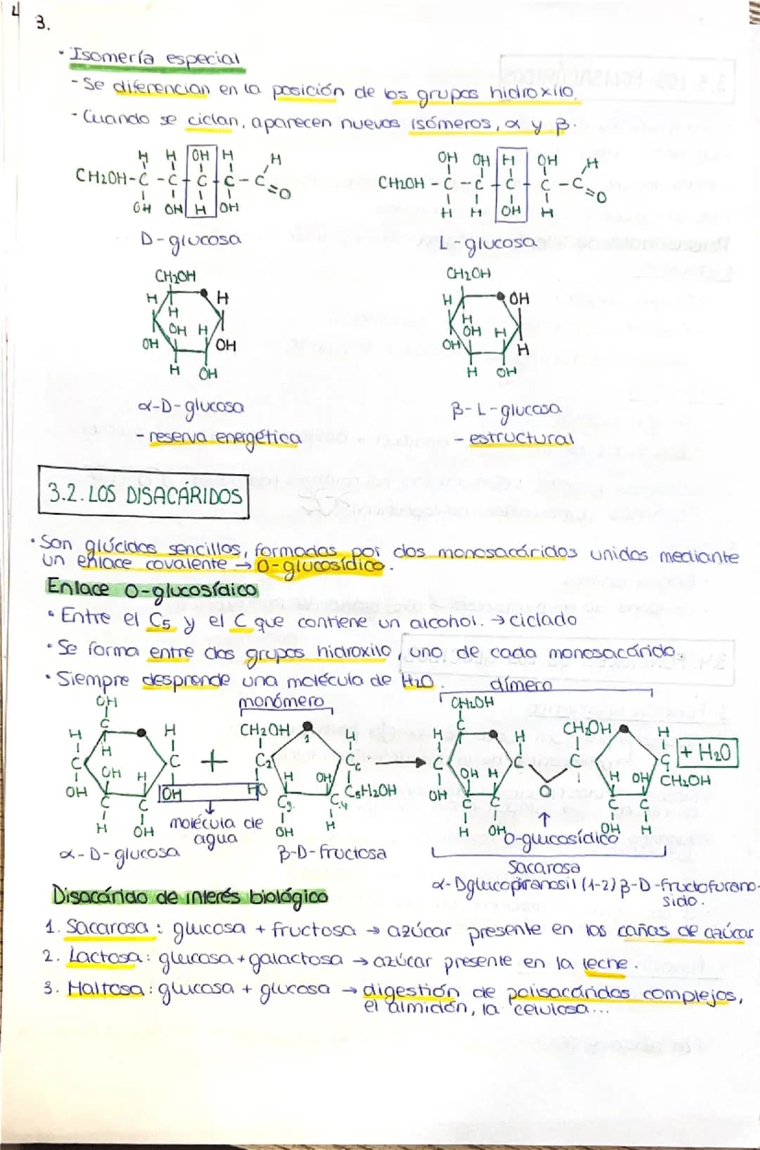 # 1. LA COMPOSICIÓN DE LA MATERIA VIVA
## 1.1. CARACTERÍSTICAS QUE DEFINEN A LOS SERES VIVOS
1. Una composición química similar (mismos el