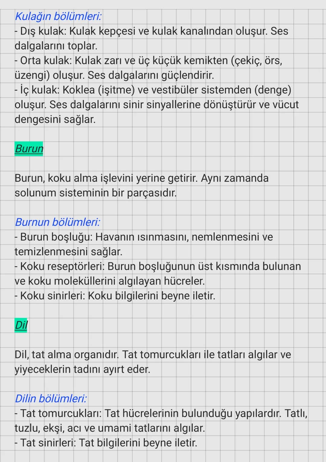 Duyu Organları
Duyu Organlarının Görevleri
Duyu organları, çevremizdeki uyarıları algılayarak beyne ileten
yapılar ve sistemlerdir. Beş te
