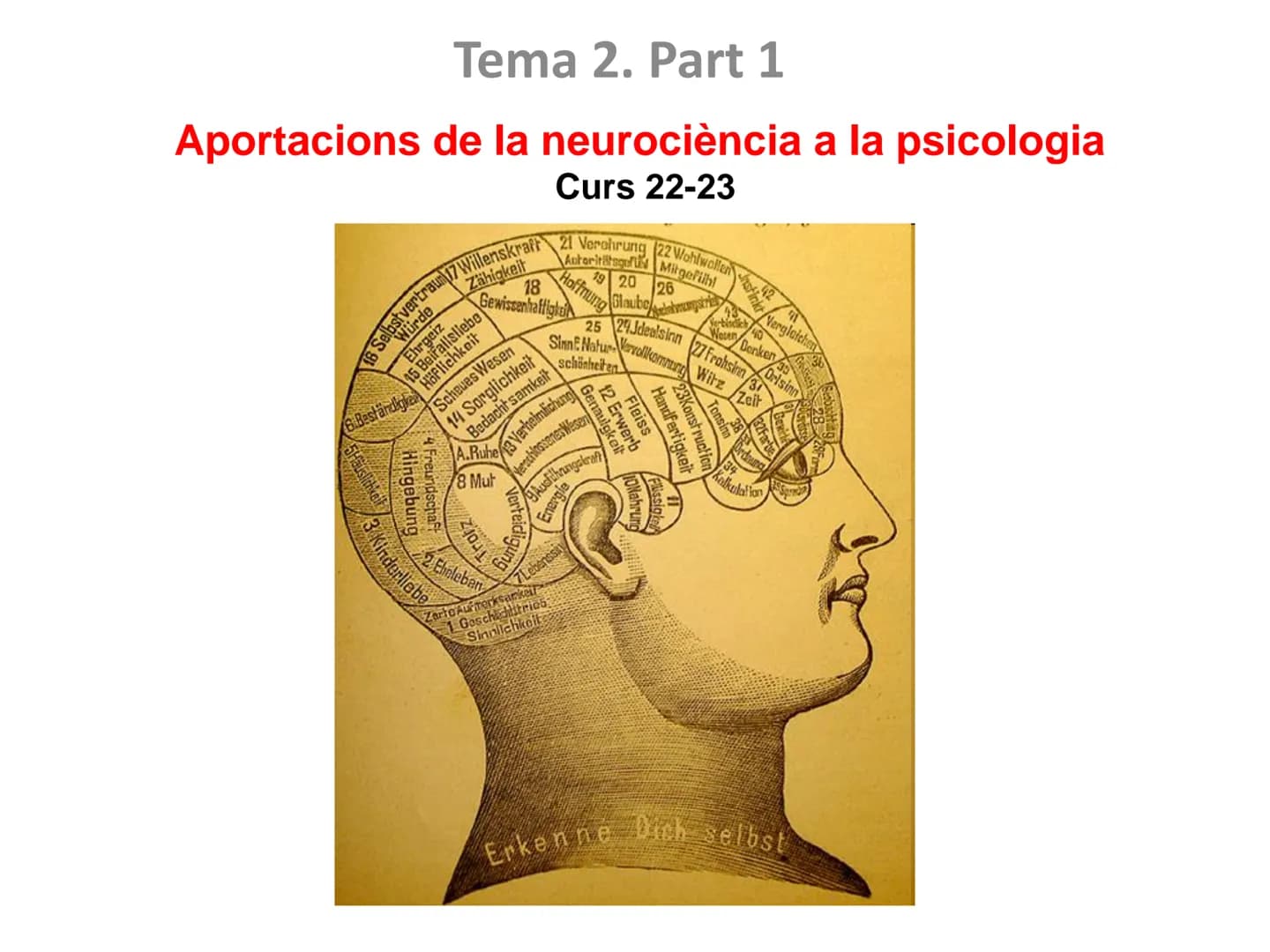 # Tema 2. Part 1
# Aportacions de la neurociència a la psicologia
Curs 22-23
17 Willenskraft 21 Verehrung 22 Wohlwollen 42
16 Selbstvertr