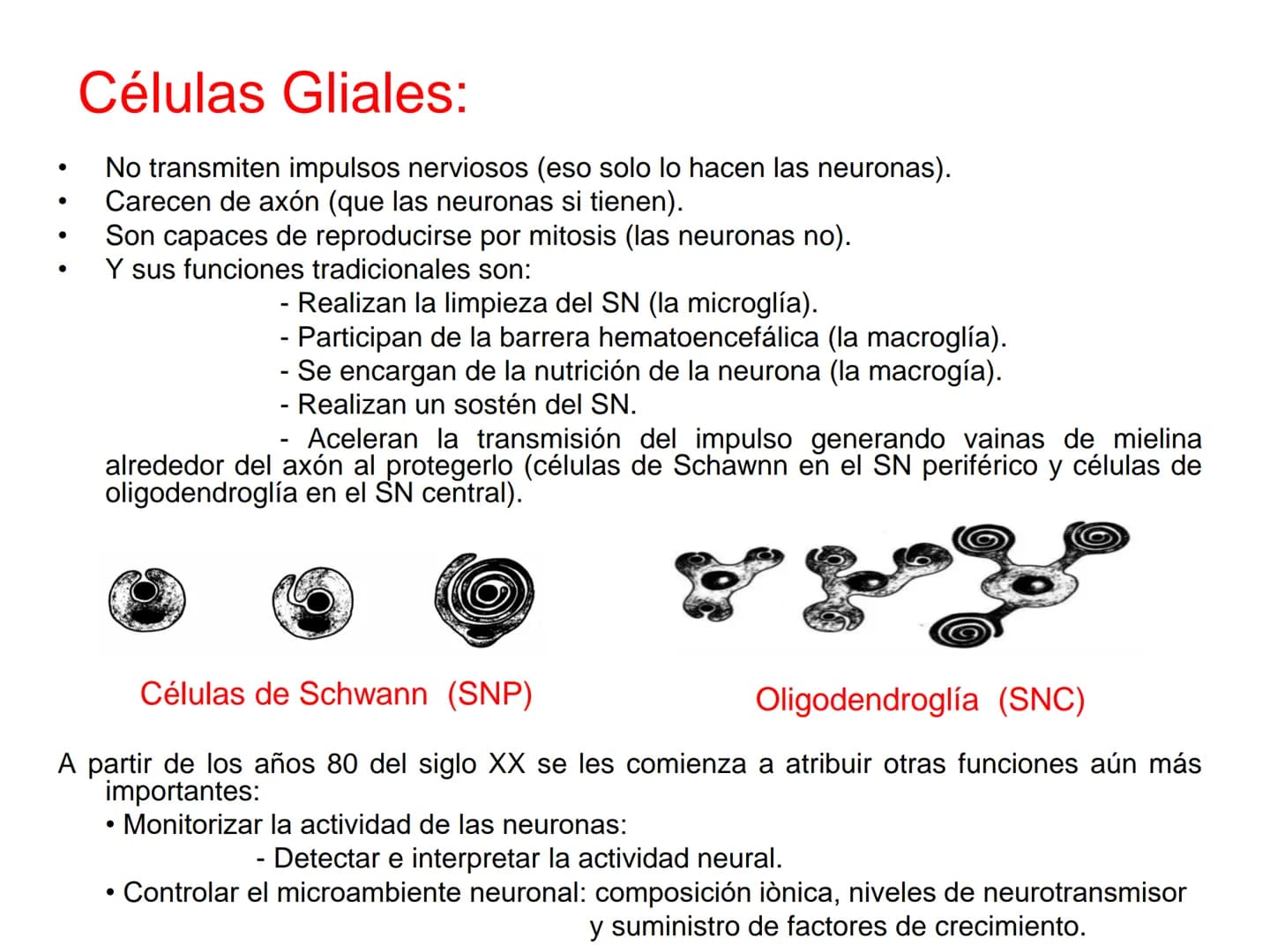 # Tema 2. Part 1
# Aportacions de la neurociència a la psicologia
Curs 22-23
17 Willenskraft 21 Verehrung 22 Wohlwollen 42
16 Selbstvertr