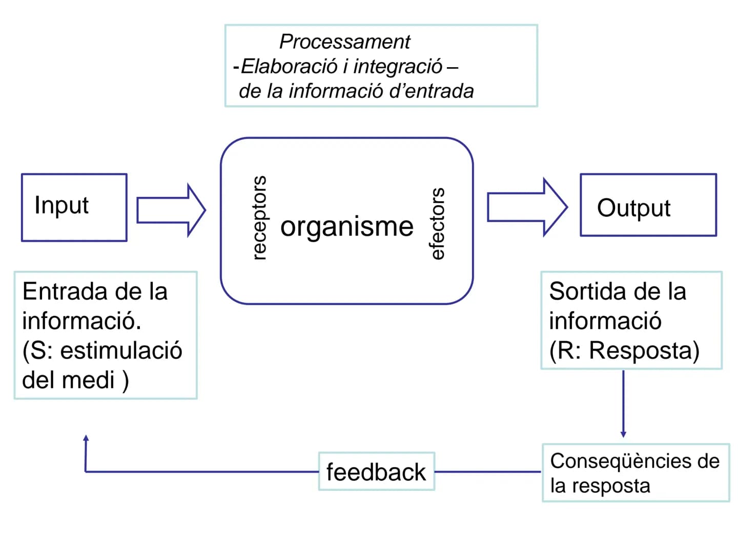 # Tema 2. Part 1
# Aportacions de la neurociència a la psicologia
Curs 22-23
17 Willenskraft 21 Verehrung 22 Wohlwollen 42
16 Selbstvertr