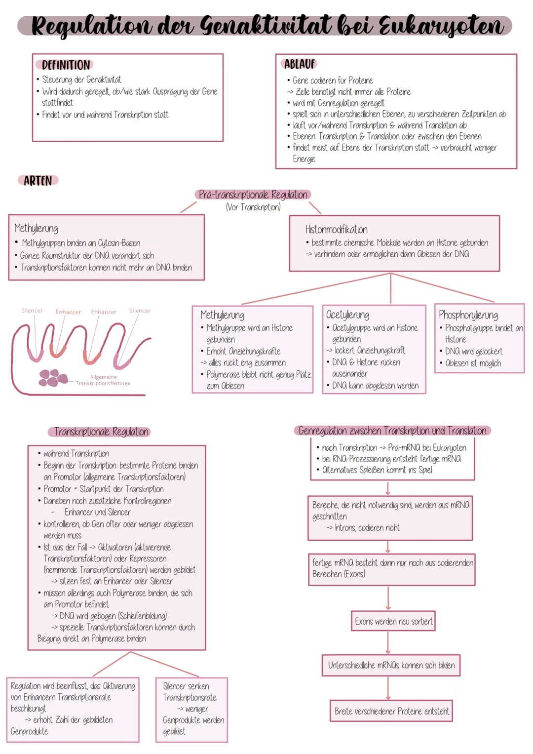 # Regulation der Genaktivitat bei Eukaryoten
## DEFINITION
* Steuerung der Genaktintat
* Wird dadurch geregelt, ob/wie stark Ausprägung