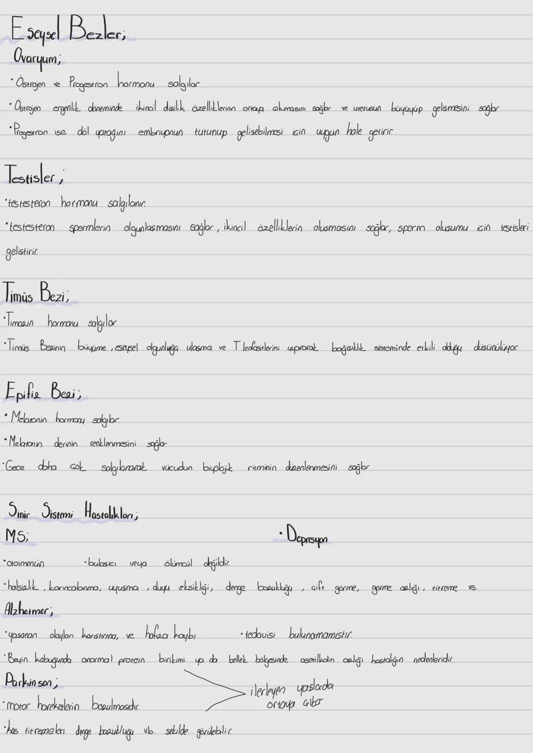 Endokrin Sistemi.
Ekzokrin Beeler, salgıbrını kanallar yoluyla vücut baslukbrına veya dışına bırakan beelerdir.
* Süt beeleri, ter beeler