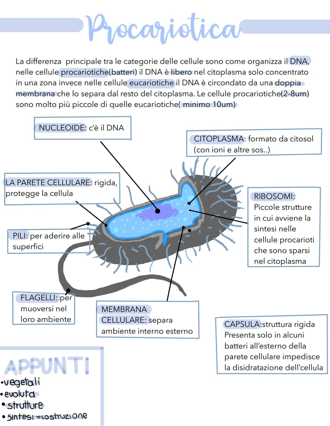 # Science # La cellula
Tutti gli organismi sono formati da cellule
alcuni sono unicellulari (1 cellula) e altri
pluricellulari (più cellule