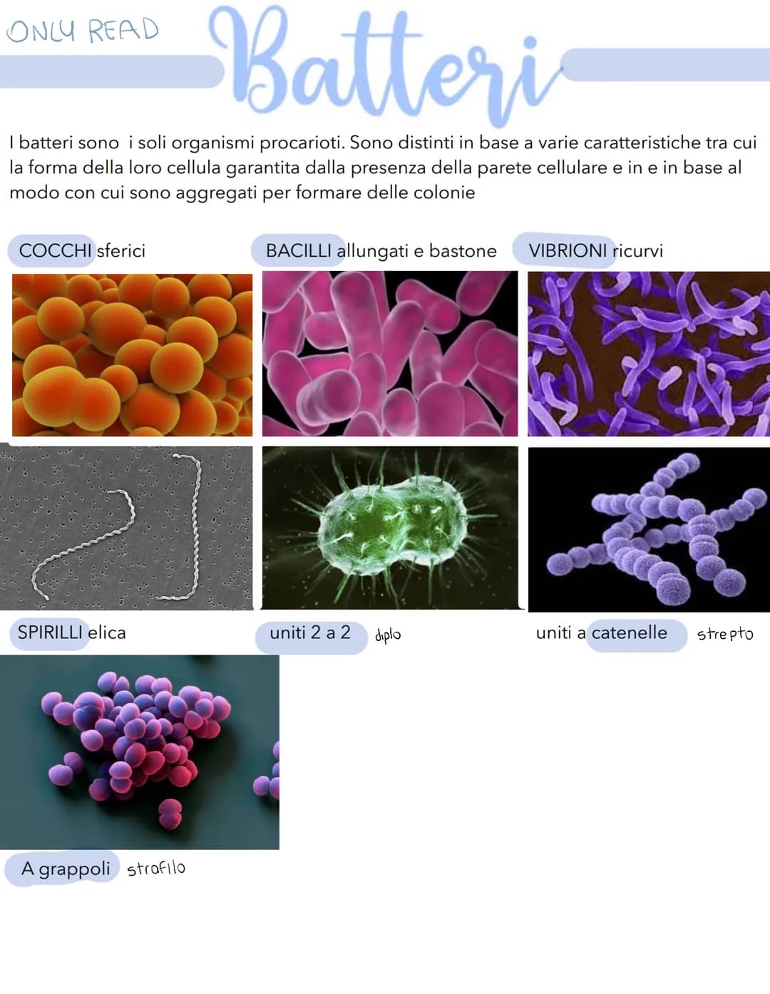 # Science # La cellula
Tutti gli organismi sono formati da cellule
alcuni sono unicellulari (1 cellula) e altri
pluricellulari (più cellule