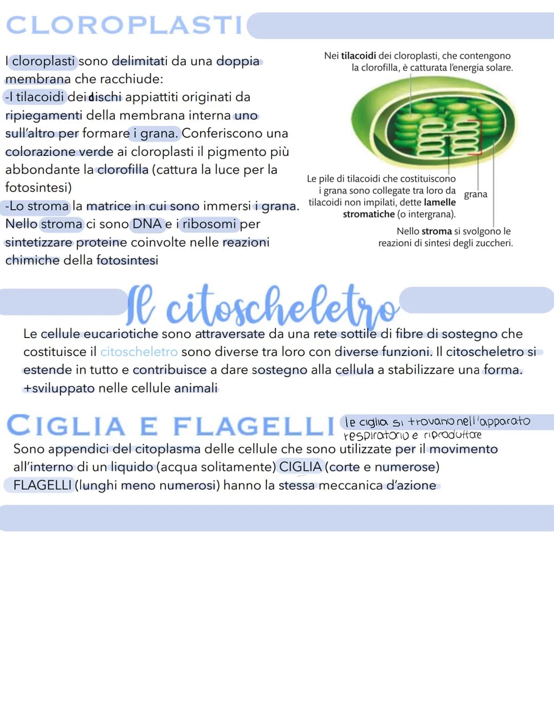# Science # La cellula
Tutti gli organismi sono formati da cellule
alcuni sono unicellulari (1 cellula) e altri
pluricellulari (più cellule