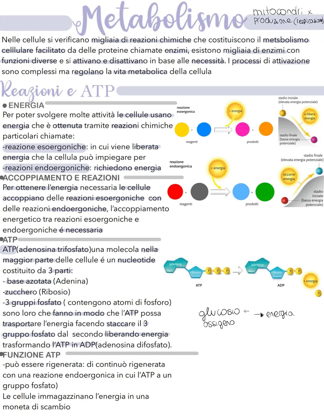 # Science # La cellula
Tutti gli organismi sono formati da cellule
alcuni sono unicellulari (1 cellula) e altri
pluricellulari (più cellule