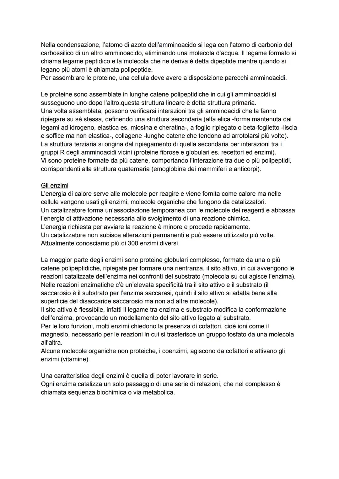 # LE BIOMOLECOLE
La chimica dei viventi
Gli organismi sono composti in gran parte d'acqua, ioni (come sodio, potassio e calcio) e
biomolec