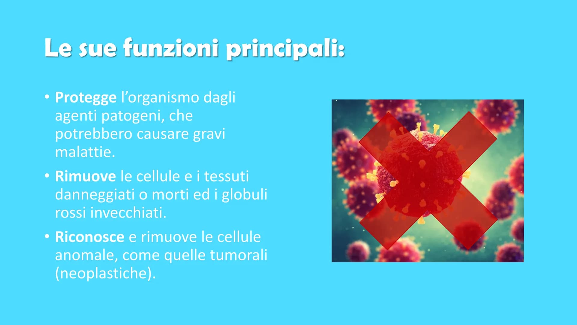 Ricerca di scienze di Ronzoni Asia classe 3^A
IL SISTEMA
IMMUNITARIO
DEL CORPO UMANO # Cosa è il sistema immunitario del corpo umano?
Il s
