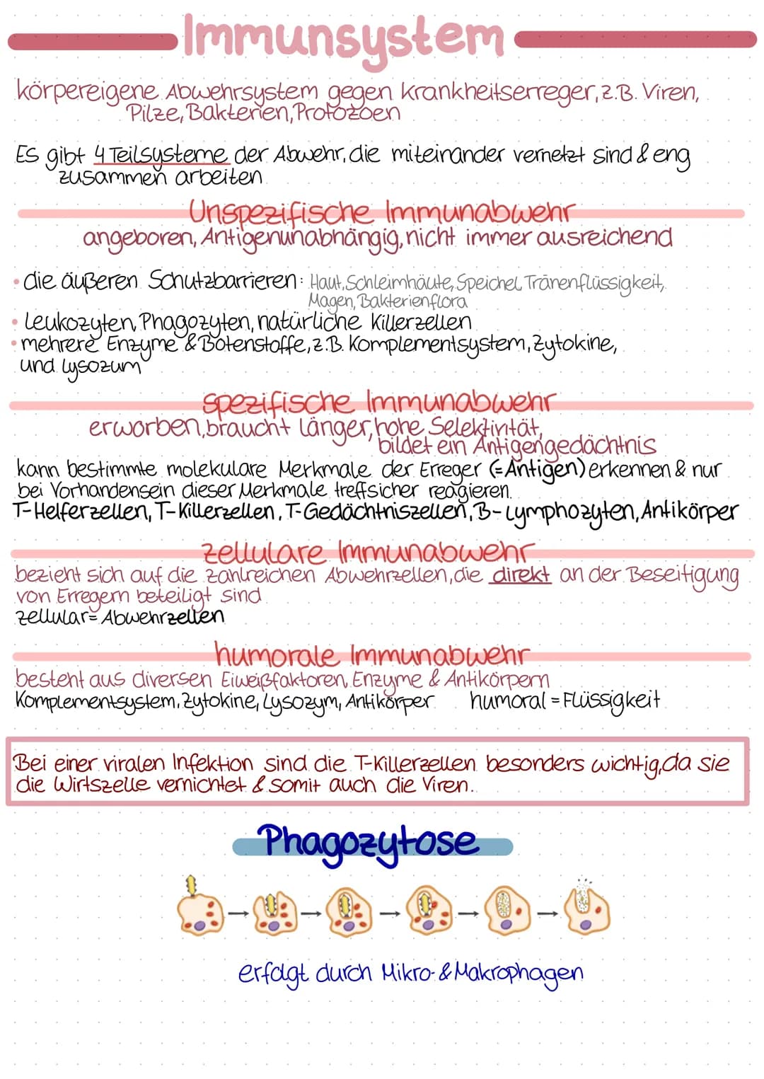 <p>Das körpereigene Abwehrsystem bekämpft Krankheitserreger wie Viren, Pilze, Bakterien und Protozoen. Es besteht aus 4 Teilsystemen, die m
