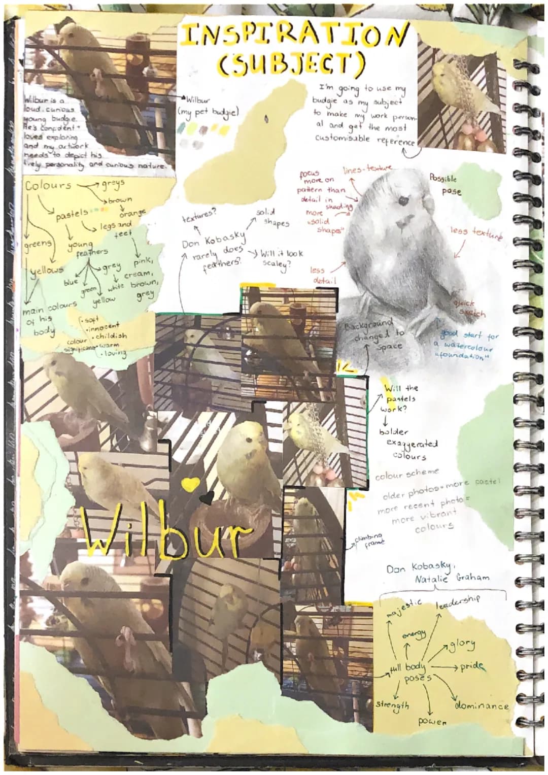 # INSPIRATION
(SUBJECT)
Wilbur is a
loud.curious
young budgie.
He's Conpdent
loved exploring
and my artwork
needs to depict his.
Avely pers