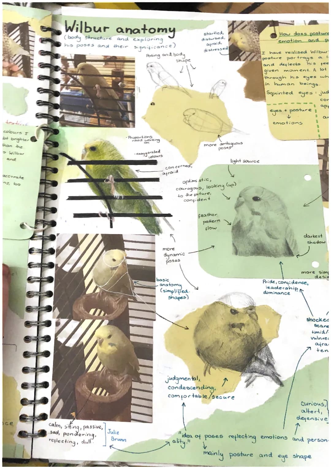 # INSPIRATION
(SUBJECT)
Wilbur is a
loud.curious
young budgie.
He's Conpdent
loved exploring
and my artwork
needs to depict his.
Avely pers