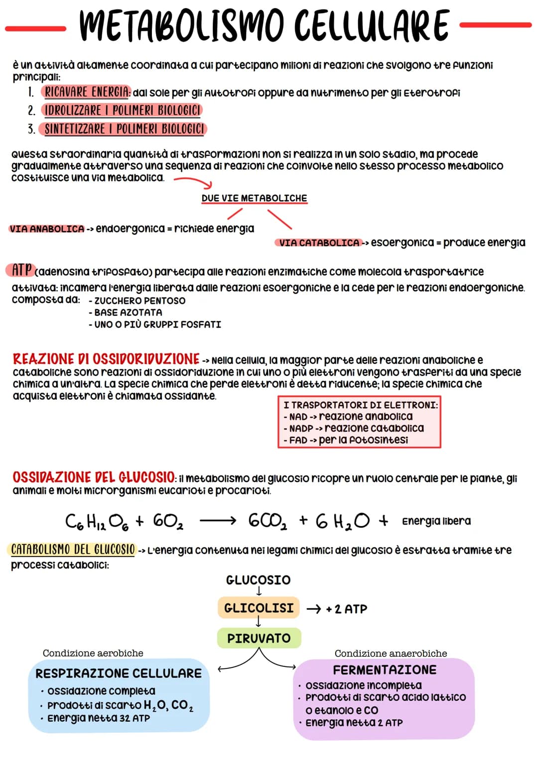 # METABOLISMO CELLULARE
è un attività altamente coordinata a cui partecipano milioni di reazioni che svolgono tre funzioni
principali:
1. R