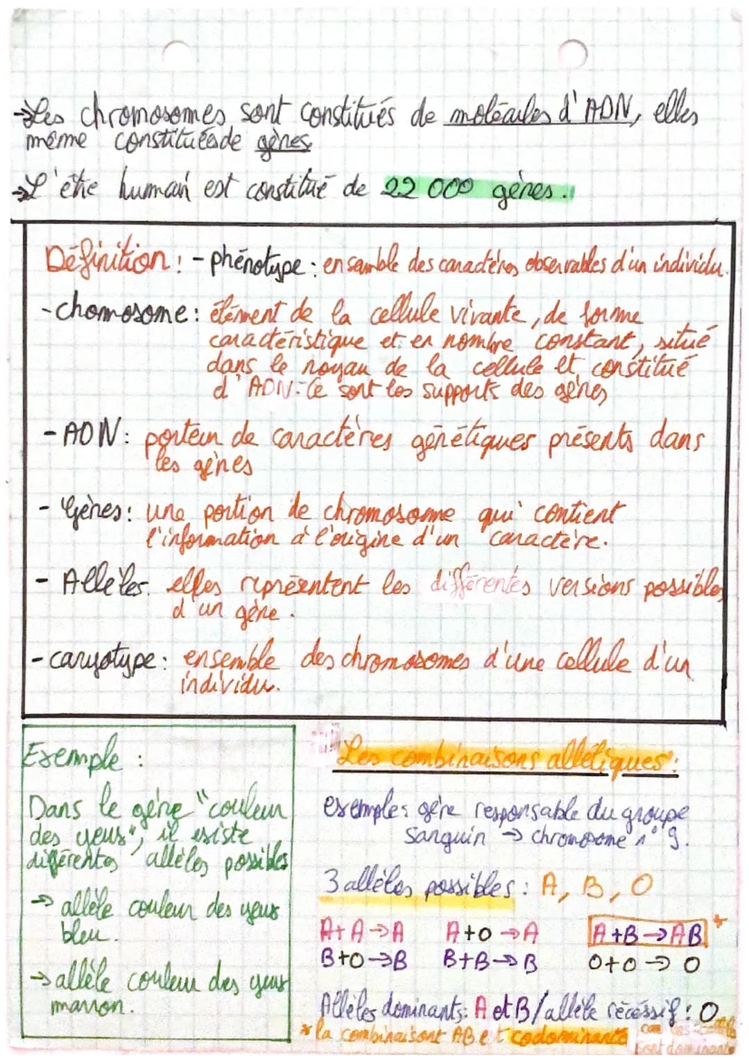 - Les chromosomes sont constitués de molecules d'ADN, elles
meme constituéesde gènes
- I'èthe human est constitué de 22000 gènes..
Defini