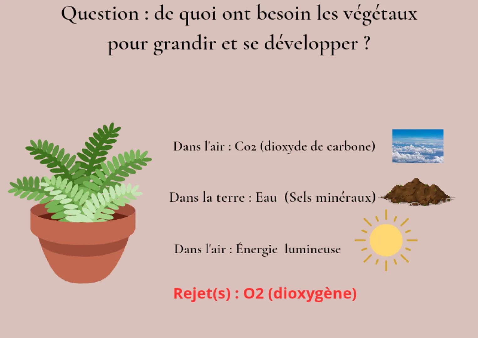 Question : de quoi ont besoin les végétaux
pour grandir et se développer ?
Dans l'air: Co2 (dioxyde de carbone)
Dans la terre: Eau (Sels m