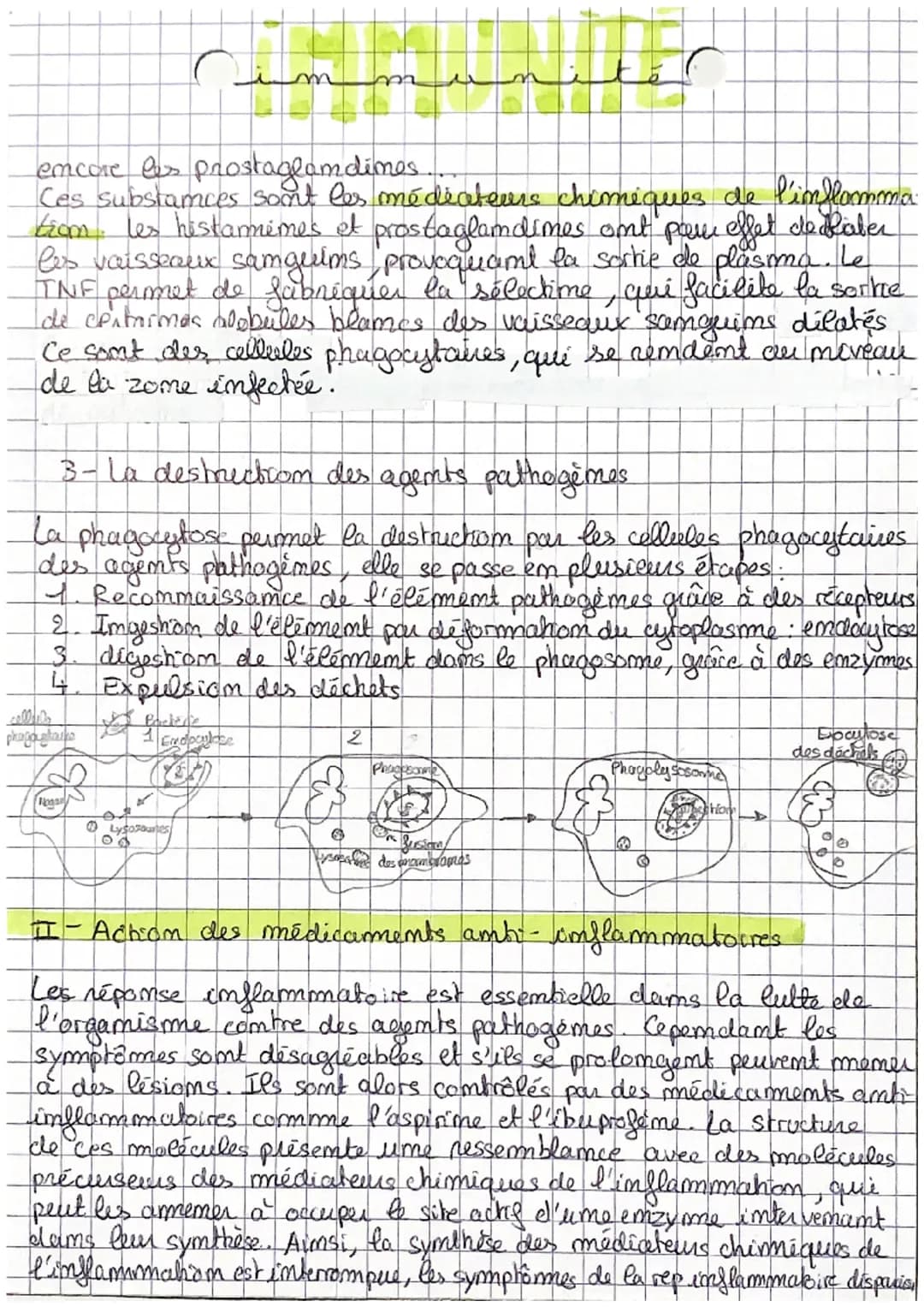 C
m
CHAP 1: L'immumite immée
Les organismes vivants sont confrontés à de multiples danger
+ micro-orgamismes pathogemes (bactéries, vinus,