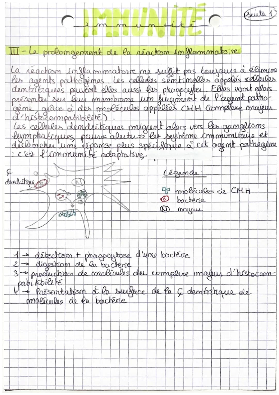 C
m
CHAP 1: L'immumite immée
Les organismes vivants sont confrontés à de multiples danger
+ micro-orgamismes pathogemes (bactéries, vinus,