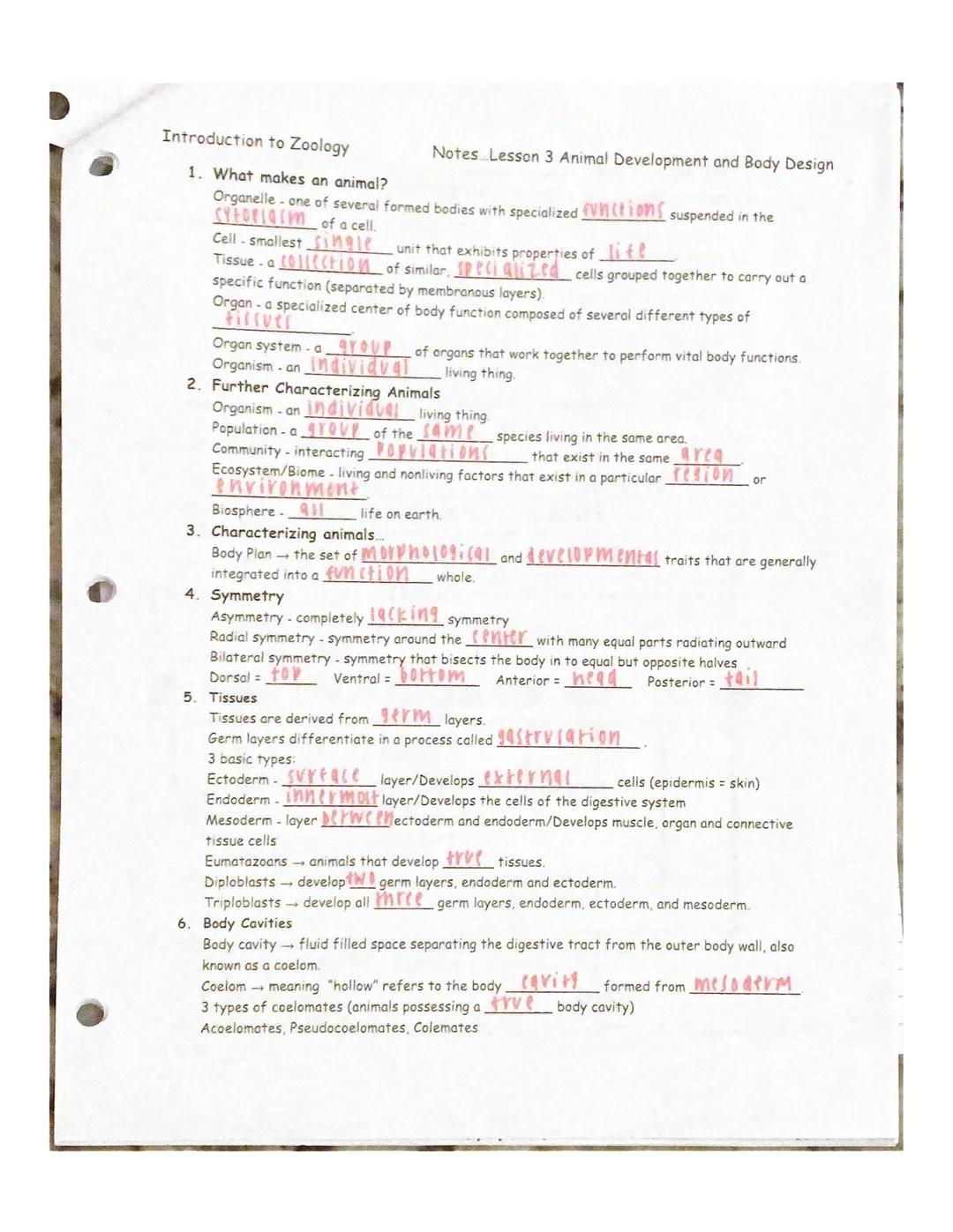 Grayson Tayior
Unit 1~Intro to zoo
introduction to zoos
1. What are two historical uses of animals?
a. hunting for... food
b. Domesticatio