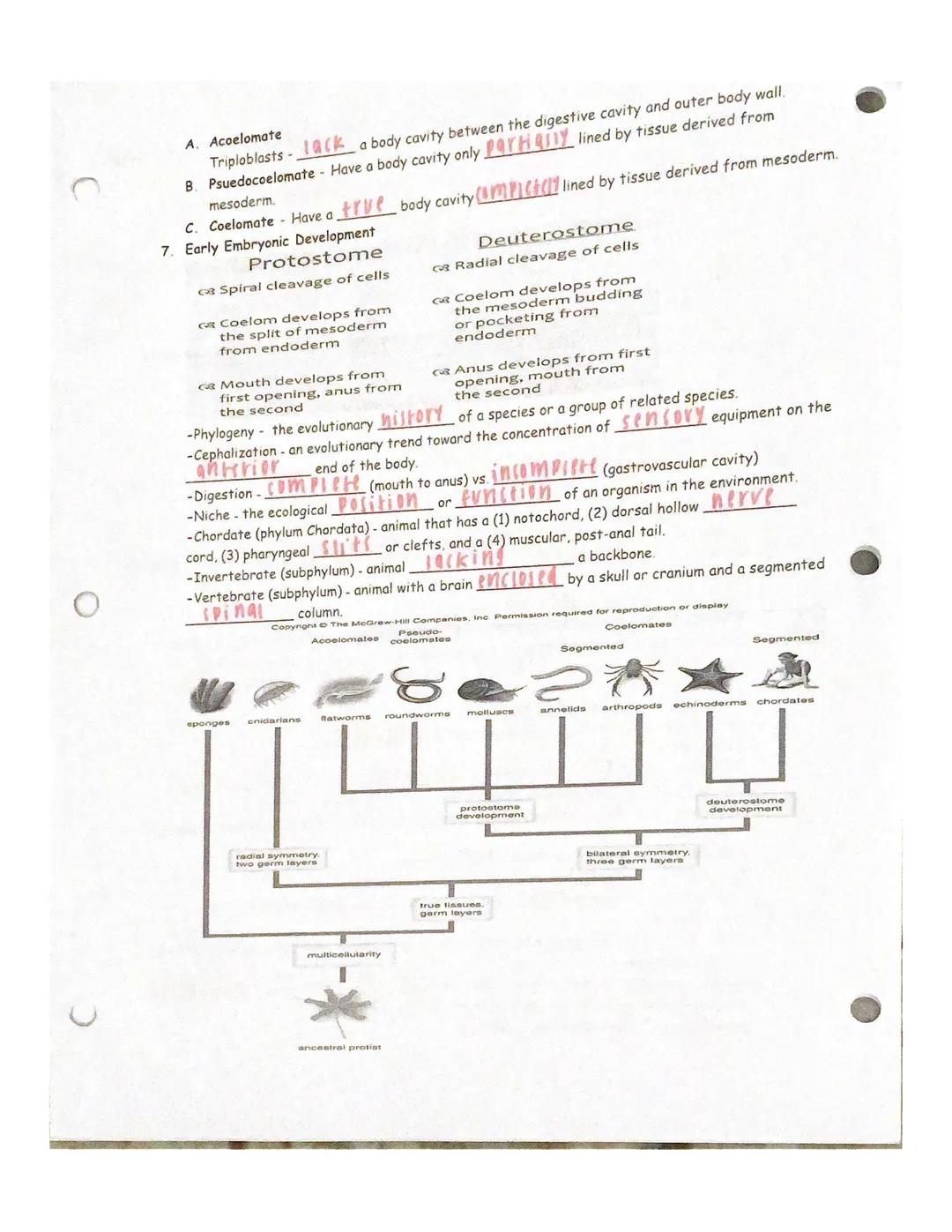 Grayson Tayior
Unit 1~Intro to zoo
introduction to zoos
1. What are two historical uses of animals?
a. hunting for... food
b. Domesticatio