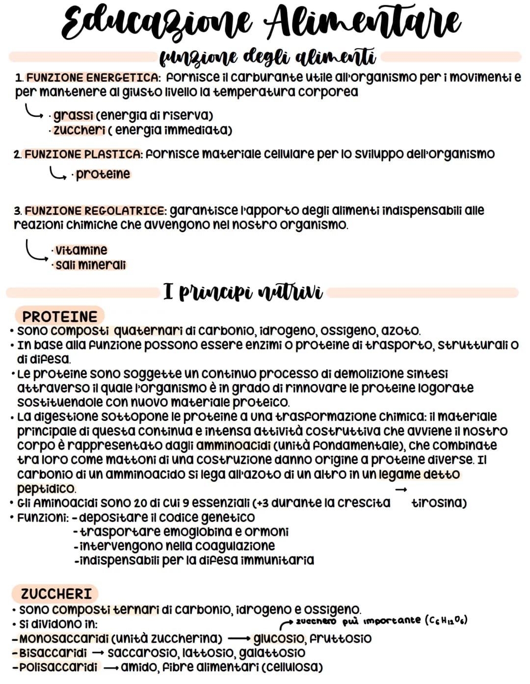 <h2>Funzioni degli Alimenti</h2>
<p>I cibi che assumiamo svolgono diverse funzioni all'interno del nostro organismo. Le principali funzioni