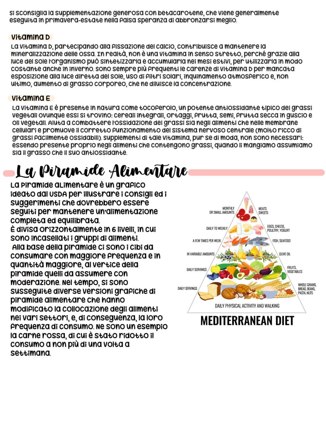 <h2>Funzioni degli Alimenti</h2>
<p>I cibi che assumiamo svolgono diverse funzioni all'interno del nostro organismo. Le principali funzioni